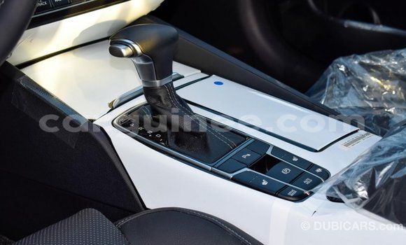Buy Import Kia Cadenza Other Car in Import - Dubai in Conakry Buy Import Kia Cadenza Other Car in Import - Dubai in Conakry