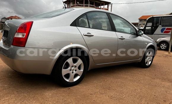 Buy Used Nissan Almera Other Car in Conakry in Conakry Buy Used Nissan Almera Other Car in Conakry in Conakry