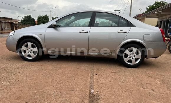 Buy Used Nissan Almera Other Car in Conakry in Conakry Buy Used Nissan Almera Other Car in Conakry in Conakry
