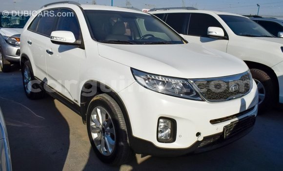 Buy Import Kia Sorento White Car in Import - Dubai in Conakry Buy Import Kia Sorento White Car in Import - Dubai in Conakry