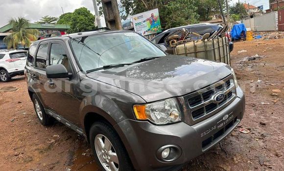 Acheter Occasion Voiture Ford Escape Noir à Conakry, Conakry Acheter Occasion Voiture Ford Escape Noir à Conakry, Conakry