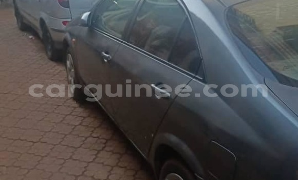 Buy Used Nissan Primera Other Car in Conakry in Conakry Buy Used Nissan Primera Other Car in Conakry in Conakry
