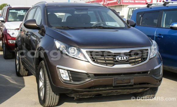 Buy Import Kia Sportage Brown Car in Import - Dubai in Conakry Buy Import Kia Sportage Brown Car in Import - Dubai in Conakry