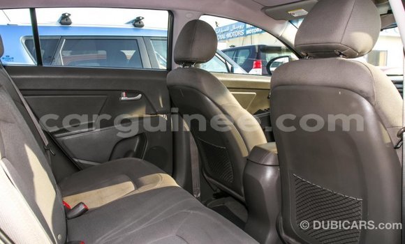 Buy Import Kia Sportage Brown Car in Import - Dubai in Conakry Buy Import Kia Sportage Brown Car in Import - Dubai in Conakry
