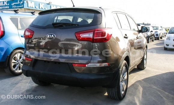 Buy Import Kia Sportage Brown Car in Import - Dubai in Conakry Buy Import Kia Sportage Brown Car in Import - Dubai in Conakry