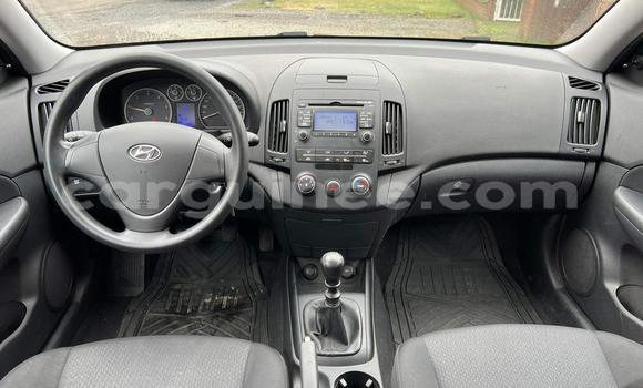 Acheter Occasion Voiture Hyundai i30 Gris à Coyah, Coyah Acheter Occasion Voiture Hyundai i30 Gris à Coyah, Coyah