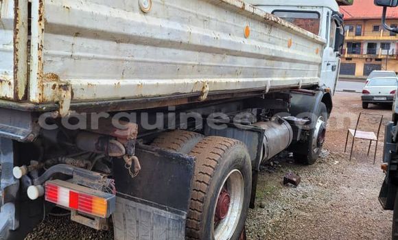 Acheter Occasion Utilitaire Renault G300 Autre à Conakry, Conakry Acheter Occasion Utilitaire Renault G300 Autre à Conakry, Conakry