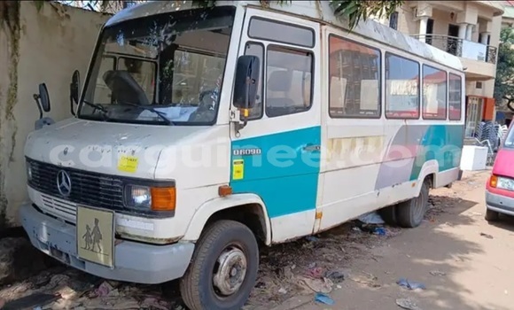Acheter Import Utilitaire Mercedes‒Benz 407D Autre à Conakry, Conakry