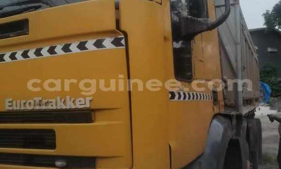 Medium with watermark iveco daily conakry conakry 9576