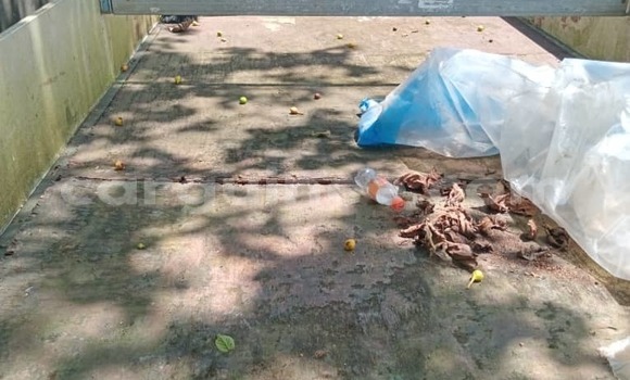 Acheter Occasion Utilitaire Nissan UD Blanc à Conakry, Conakry Acheter Occasion Utilitaire Nissan UD Blanc à Conakry, Conakry