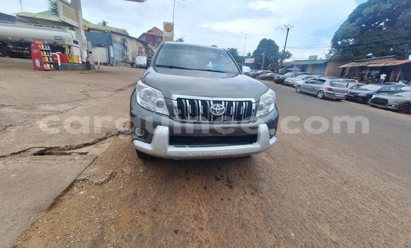 Acheter Occasion Voiture Toyota Prado Autre à Conakry, Conakry Acheter Occasion Voiture Toyota Prado Autre à Conakry, Conakry