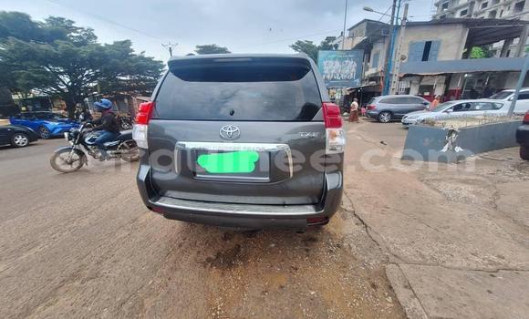 Acheter Occasion Voiture Toyota Prado Autre à Conakry, Conakry Acheter Occasion Voiture Toyota Prado Autre à Conakry, Conakry
