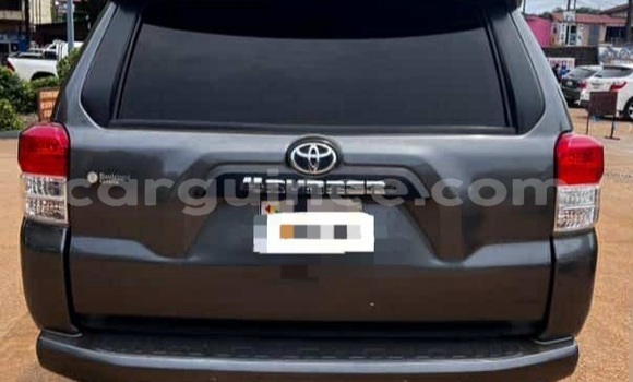 Buy Import Toyota 4Runner Other Car in Conakry in Conakry