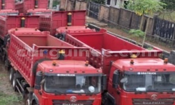 Acheter Occasion Utilitaire Man Silent Autre à Conakry, Conakry