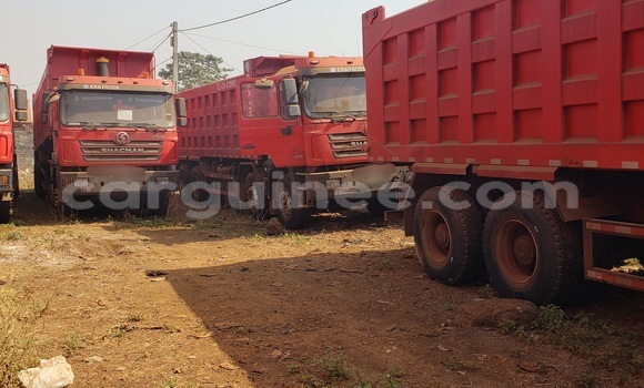 Acheter Occasion Utilitaire Man Silent Autre à Conakry, Conakry Acheter Occasion Utilitaire Man Silent Autre à Conakry, Conakry