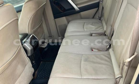 Buy Used Toyota Prado Other Car in Conakry in Conakry Buy Used Toyota Prado Other Car in Conakry in Conakry