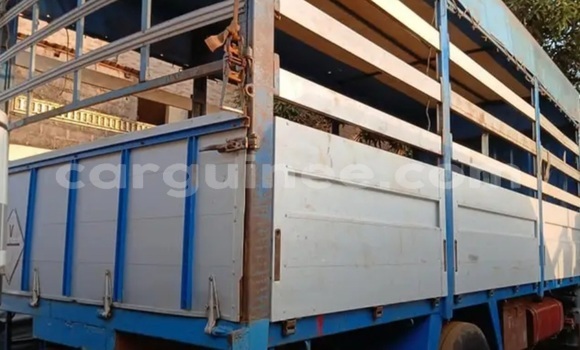 Acheter Occasion Utilitaire Renault G300 Autre à Conakry, Conakry Acheter Occasion Utilitaire Renault G300 Autre à Conakry, Conakry
