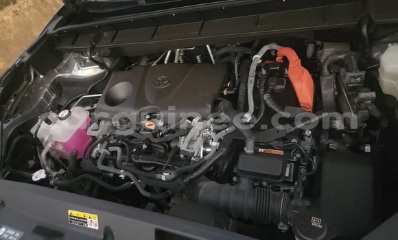 Buy Import Toyota Highlander Other Car in Conakry in Conakry Buy Import Toyota Highlander Other Car in Conakry in Conakry