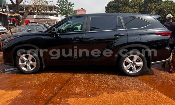 Buy Import Toyota Highlander Other Car in Conakry in Conakry