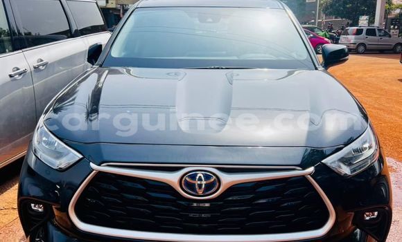 Buy Import Toyota Highlander Other Car in Conakry in Conakry Buy Import Toyota Highlander Other Car in Conakry in Conakry