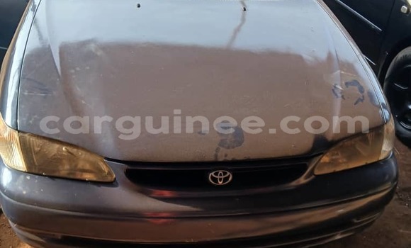 Buy Import Toyota Corolla Other Car in Conakry in Conakry Buy Import Toyota Corolla Other Car in Conakry in Conakry