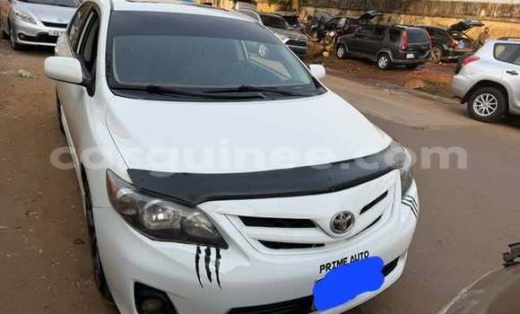 Buy Used Toyota Corolla Other Car in Conakry in Conakry
