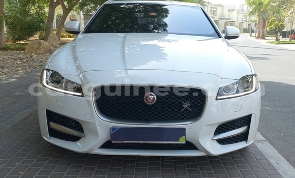 Buy Used Jaguar XF White Car in Conakry in Conakry Buy Used Jaguar XF White Car in Conakry in Conakry