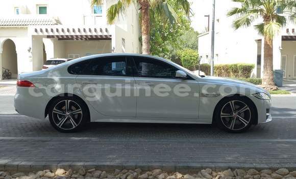Buy Used Jaguar XF White Car in Conakry in Conakry Buy Used Jaguar XF White Car in Conakry in Conakry