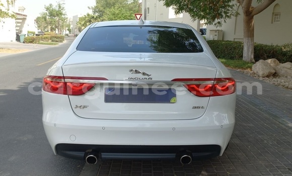 Buy Used Jaguar XF White Car in Conakry in Conakry Buy Used Jaguar XF White Car in Conakry in Conakry
