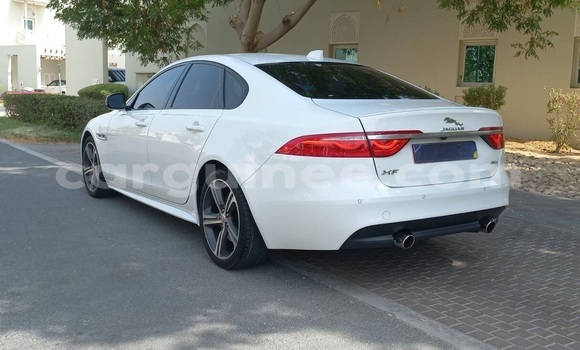 Buy Used Jaguar XF White Car in Conakry in Conakry Buy Used Jaguar XF White Car in Conakry in Conakry