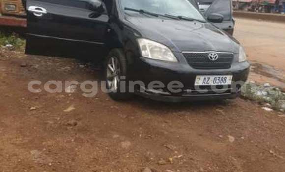 Buy Used Toyota Ractis Other Car in Conakry in Conakry Buy Used Toyota Ractis Other Car in Conakry in Conakry