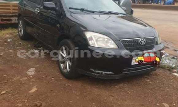 Buy Used Toyota Ractis Other Car in Conakry in Conakry Buy Used Toyota Ractis Other Car in Conakry in Conakry