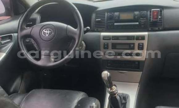 Buy Used Toyota Ractis Other Car in Conakry in Conakry Buy Used Toyota Ractis Other Car in Conakry in Conakry