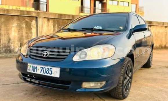 Buy Used Toyota 4Runner Other Car in Conakry in Conakry Buy Used Toyota 4Runner Other Car in Conakry in Conakry