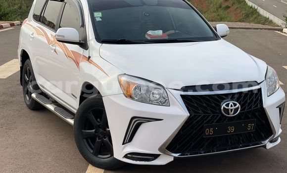 Buy Used Toyota RAV4 White Car in Conakry in Conakry