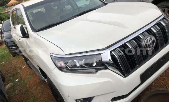 Buy Used Toyota Land Cruiser Prado White Car in Conakry in Conakry