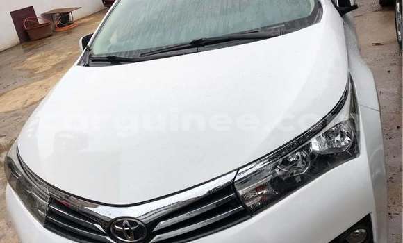 Buy Used Toyota Fortuner White Car in Conakry in Conakry Buy Used Toyota Fortuner White Car in Conakry in Conakry