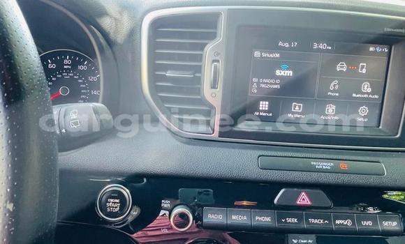 Buy Import Kia Sportage White Car in Conakry in Conakry Buy Import Kia Sportage White Car in Conakry in Conakry