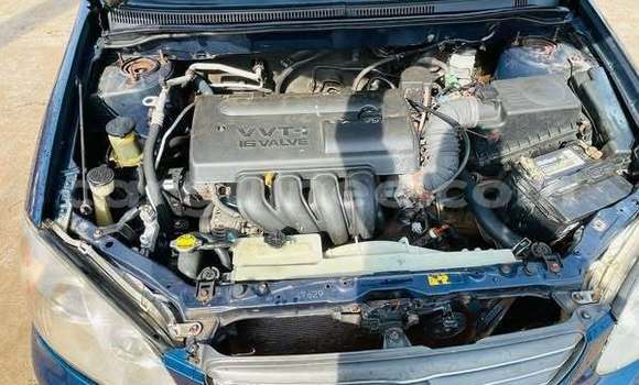Buy Used Toyota Corolla Other Car in Conakry in Conakry Buy Used Toyota Corolla Other Car in Conakry in Conakry
