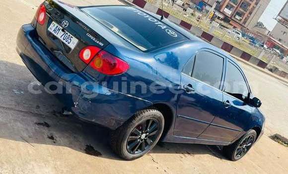 Buy Used Toyota Corolla Other Car in Conakry in Conakry Buy Used Toyota Corolla Other Car in Conakry in Conakry