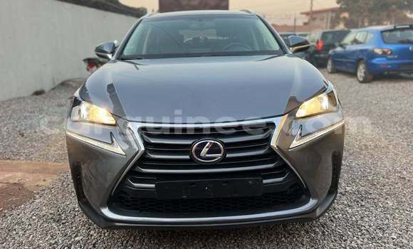 Buy Used Lexus NX Other Car in Conakry in Conakry Buy Used Lexus NX Other Car in Conakry in Conakry