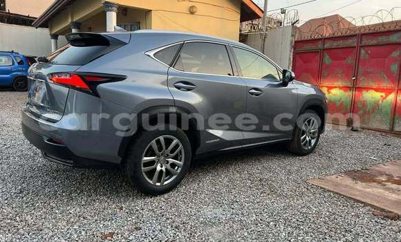 Buy Used Lexus NX Other Car in Conakry in Conakry Buy Used Lexus NX Other Car in Conakry in Conakry