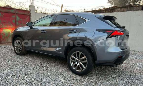 Buy Used Lexus NX Other Car in Conakry in Conakry Buy Used Lexus NX Other Car in Conakry in Conakry