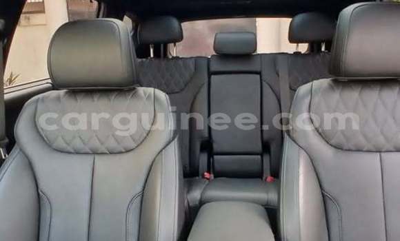 Buy Used Hyundai Santa Fe Other Car in Conakry in Conakry Buy Used Hyundai Santa Fe Other Car in Conakry in Conakry