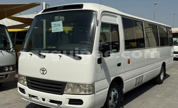 Acheter Occasion Voiture Toyota Coaster Blanc à Import - Dubai, Conakry Acheter Occasion Voiture Toyota Coaster Blanc à Import - Dubai, Conakry