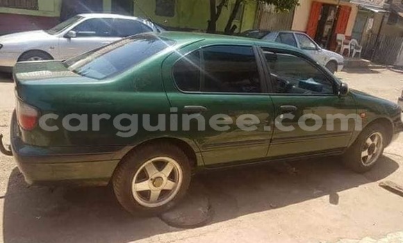 Buy Used Nissan Primera Green Car in Conakry in Conakry Buy Used Nissan Primera Green Car in Conakry in Conakry