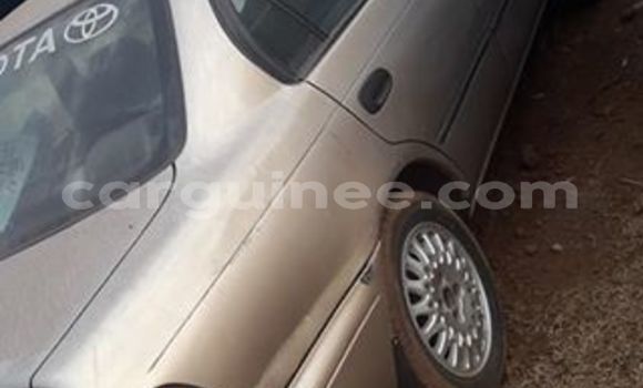 Acheter Occasion Voiture Toyota Corolla Gris à Conakry, Conakry Acheter Occasion Voiture Toyota Corolla Gris à Conakry, Conakry