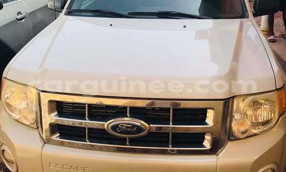 Acheter Occasion Voiture Ford Escape Blanc à Conakry, Conakry Acheter Occasion Voiture Ford Escape Blanc à Conakry, Conakry