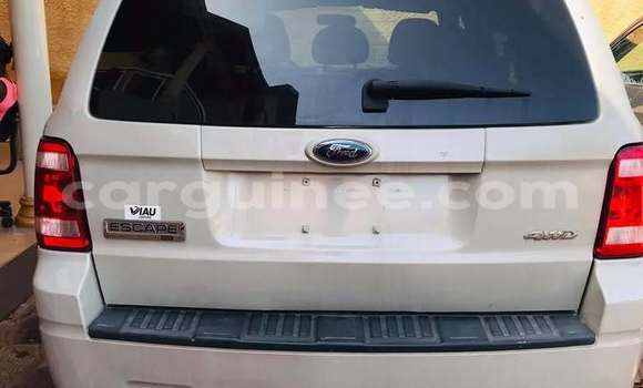 Acheter Occasion Voiture Ford Escape Blanc à Conakry, Conakry Acheter Occasion Voiture Ford Escape Blanc à Conakry, Conakry