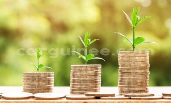 Acheter Occasion Voiture Alpina B12 Bleu à Dinguiraye, Dinguiraye